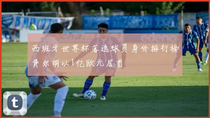 西班牙世界杯落选球员身价排行榜费尔明以1亿欧元居首