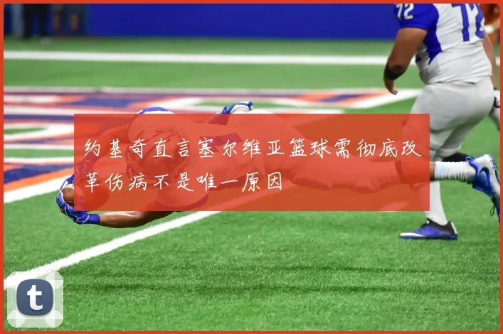 约基奇直言塞尔维亚篮球需彻底改革伤病不是唯一原因