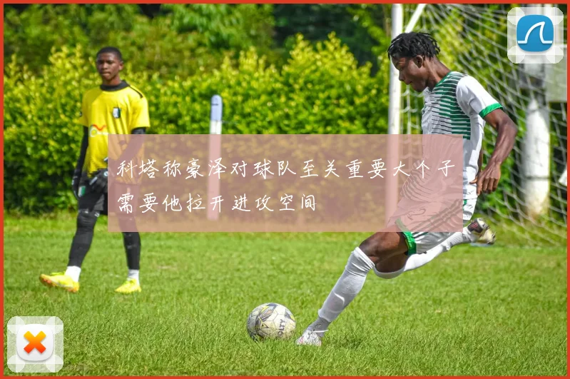 科塔称豪泽对球队至关重要大个子需要他拉开进攻空间