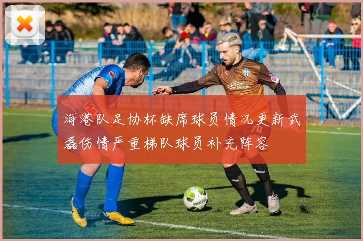 海港队足协杯缺席球员情况更新武磊伤情严重梯队球员补充阵容